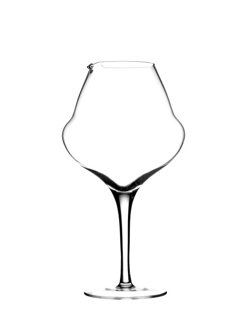 Elegant wijn decanteerglas